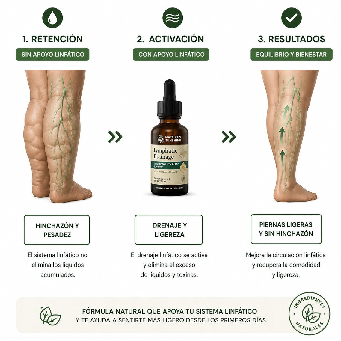 Lymphatic Drainage: Libera Los Líquidos Que Tu Cuerpo Ya No Necesita. 🧘🏻