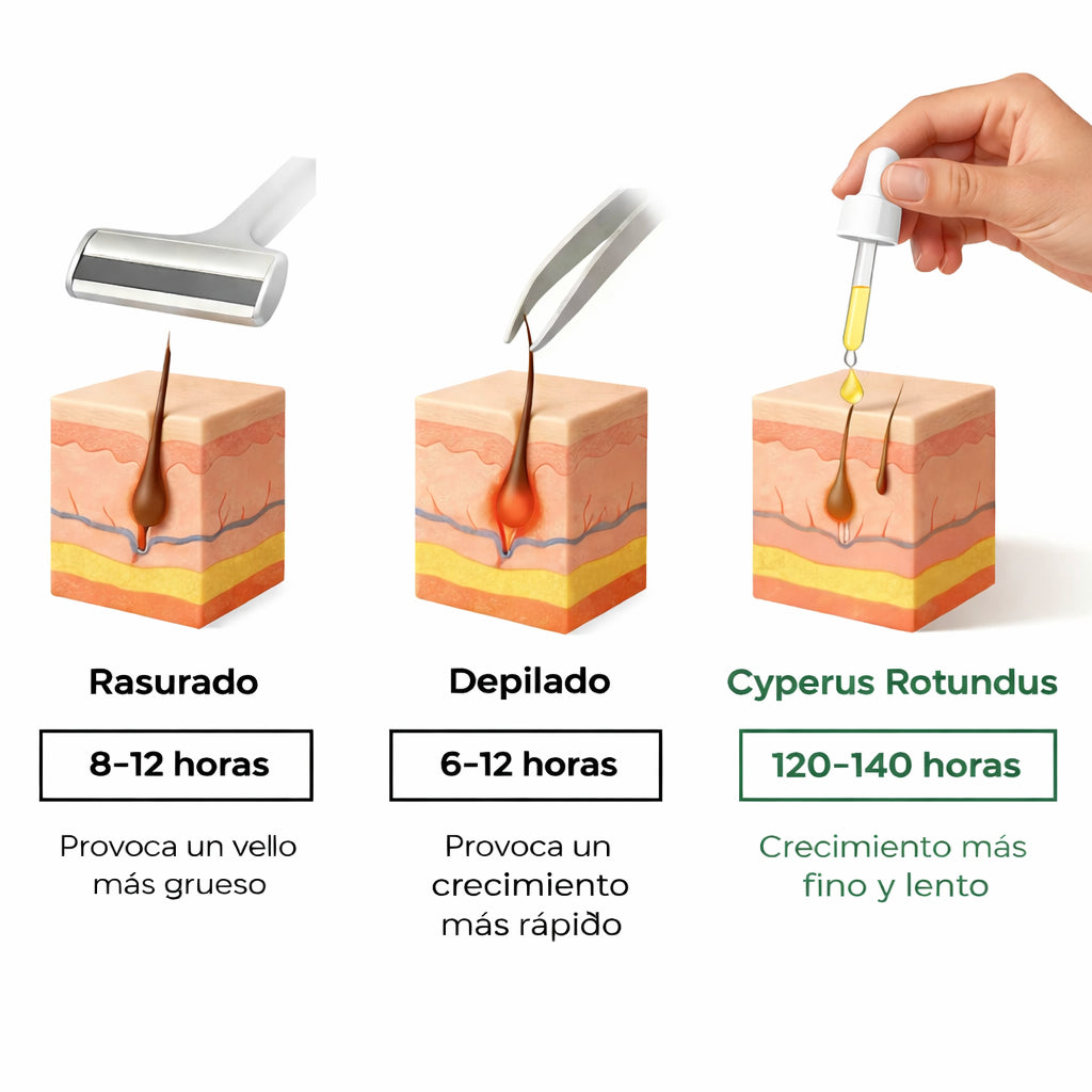 CYPERUS ROTUNDUS OIL 60ml: Tratamiento natural anti vello sin irritación🪒💖